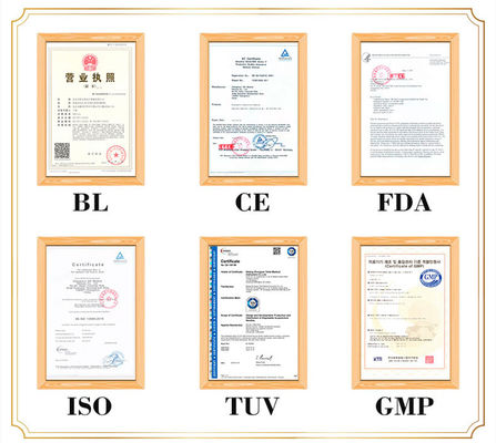 Plastic Handle Acupuncture Press Needles GB 2024-2016 Safety Standard for Effective and Comfortable Treatment