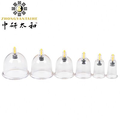 Safety Standard Body Model Chinese Medicine Apparatus Developed for Comprehensive Medical Training and Patient Education