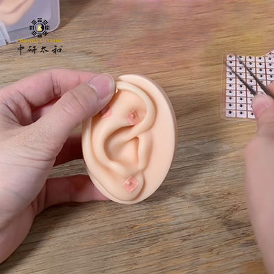 Auricular Therapy With Ear Vaccaria Seeds Chinese Medicine Apparatus And Traditional Chinese Herbal Supplement