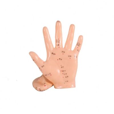 Acupuncture Body Model Flexible Joints for Realistic Positioning and Easy to Clean Surface in Training