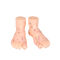 20CM Chinese Medicine Foot Massage Model PVC Material 13/17/19cm