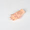 13cm Hand Acupuncture Point Model Chinese Acupuncture Teaching Model PVC