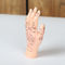 13cm Hand Acupuncture Point Model Chinese Acupuncture Teaching Model PVC
