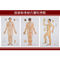 3pcs Meridian Acupuncture Chart ISO Acupuncture Culture