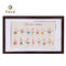 Rice Paper Scroll Chinese Medicine Charts Suitable Mirror Screen