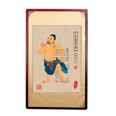 Effective Treatment Oriental Medicine with Over 350 Acupuncture Points On Body Diameter 0.4