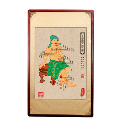 Effective Treatment Oriental Medicine with Over 350 Acupuncture Points On Body Diameter 0.4