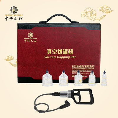 Vacuum Suction 19 Cups Sets Hijama Cupping Therapy Cellulite Massage Back  Relief Chinese